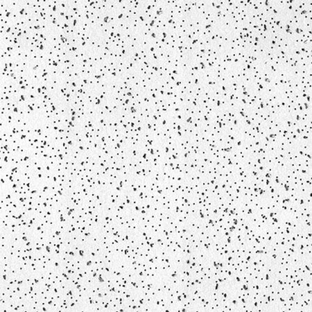 CGC R2120 RADAR BASIC CEILING PNL 5/8IN X 2FT X 2FT WHITE SLT 16PC/CTN