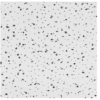CGC R2315 RADAR BASIC FC CEILING FIRECODE PNL, 5.8IN X 2FT X 4FT, WHITE, SQ 8 PC CTN