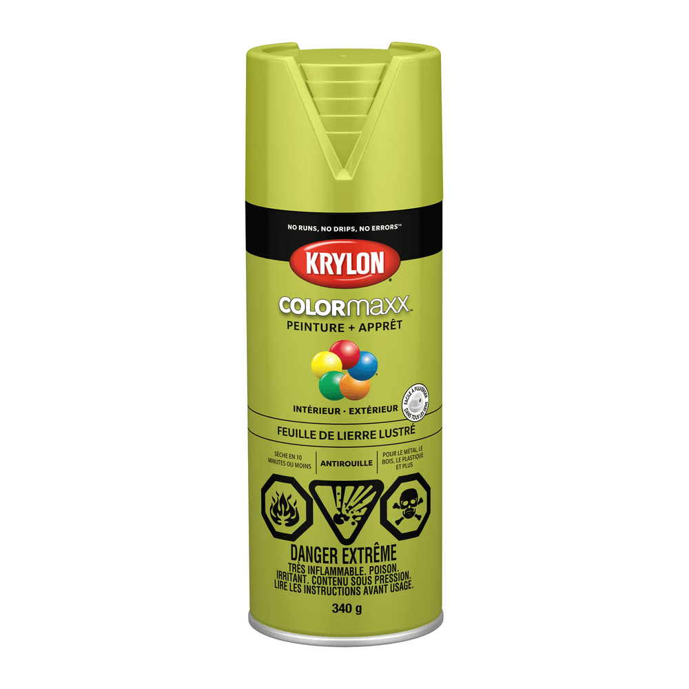 KRYLON COLORMAXX GLOSS IVY LEAF